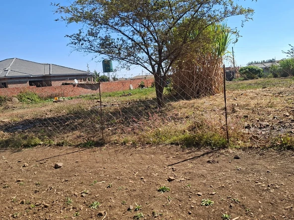 Stands & Residential Land