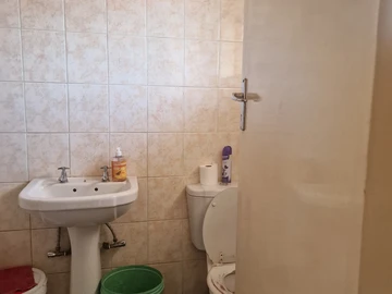 Flat & Apartment