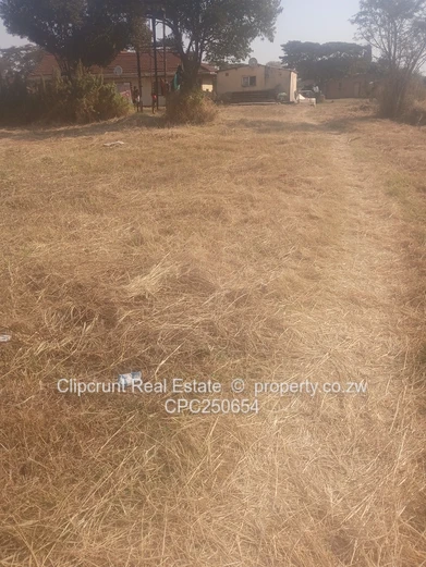 Matidoda stand forsale (Sole Mandate)