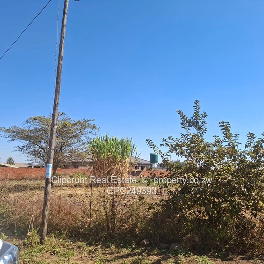 Beatuful stand for sale