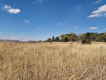 Land